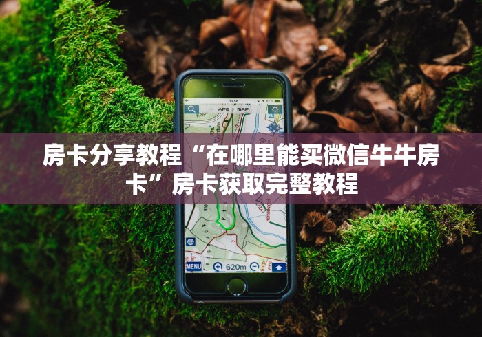 科普一下“微信炸 金花房卡怎么搞”房卡链接获取 科普一下“微信炸 金花房卡怎么搞”房卡链接获取