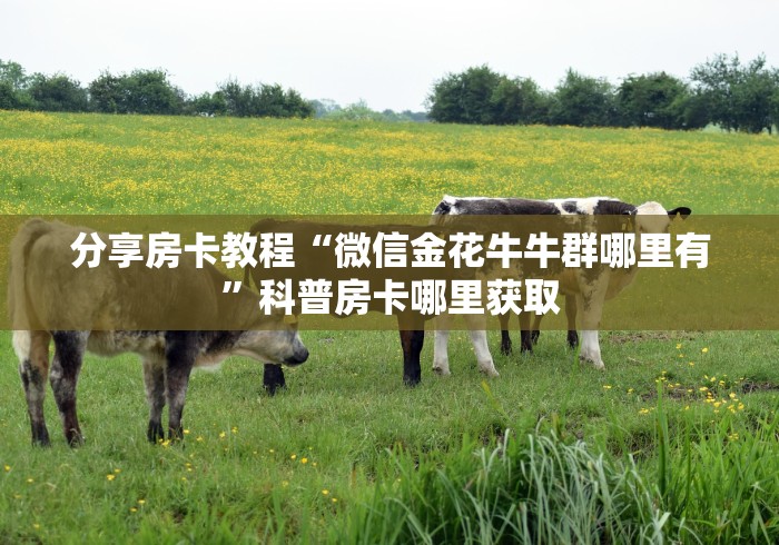 房卡必备教程“微信群炸 金花链接房卡”详细房卡使用教程