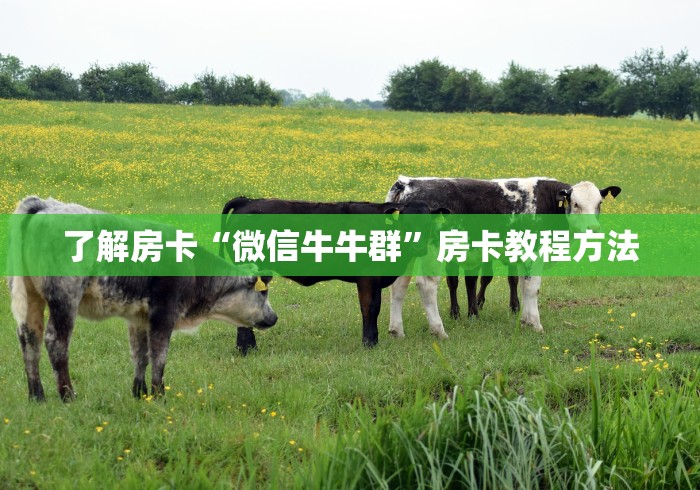 玩家攻略“有没有微信炸 金花房卡”房卡使用教程 玩家攻略“有没有微信炸 金花房卡”房卡使用教程
