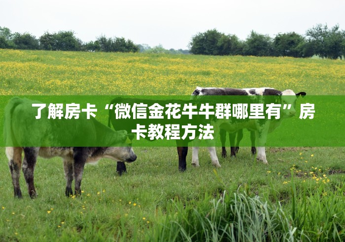 玩家攻略“微信斗牛房卡怎么来的”获取房卡教程-哔哩哔哩