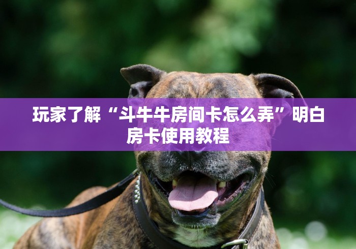 分享实测“微信牛牛群房卡怎么弄”获取房卡教程-哔哩哔哩