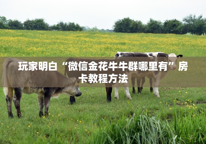 秒懂百科“微信牛牛房卡购买渠道”链接房卡在哪里获取 秒懂百科“微信牛牛房卡购买渠道”链接房卡在哪里获取