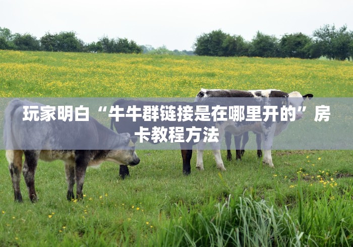 科普一下“微信炸 金花在哪里充值卡”房卡详细充值 科普一下“微信炸 金花在哪里充值卡”房卡详细充值