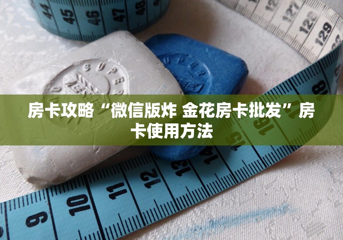 秒懂教程“炸 金花房卡代理步骤”详细房卡怎么购买教程