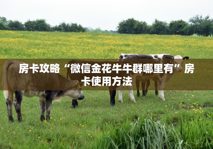 秒懂百科“微信牛牛群房卡怎么弄”获取房卡教程-哔哩哔哩