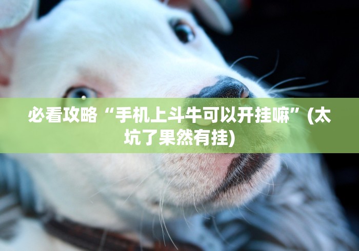 玩家攻略“微信牛牛链接房卡多少钱一张”房卡获取方式