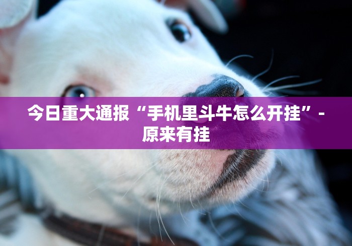 科普一下“牛魔王牛牛房卡”房卡使用教程