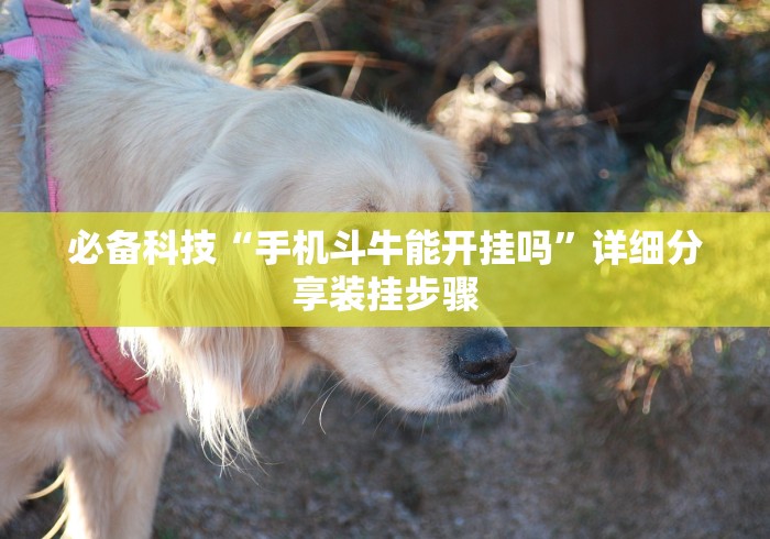 房卡必备教程“微信炸 金花在哪里充值卡”链接房卡在哪里获取 房卡必备教程“微信炸 金花在哪里充值卡”链接房卡在哪里获取