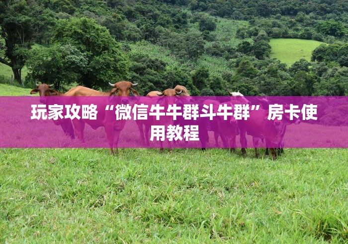 一分钟了解“斗牛炸 金花房卡买房卡”房卡怎么购买