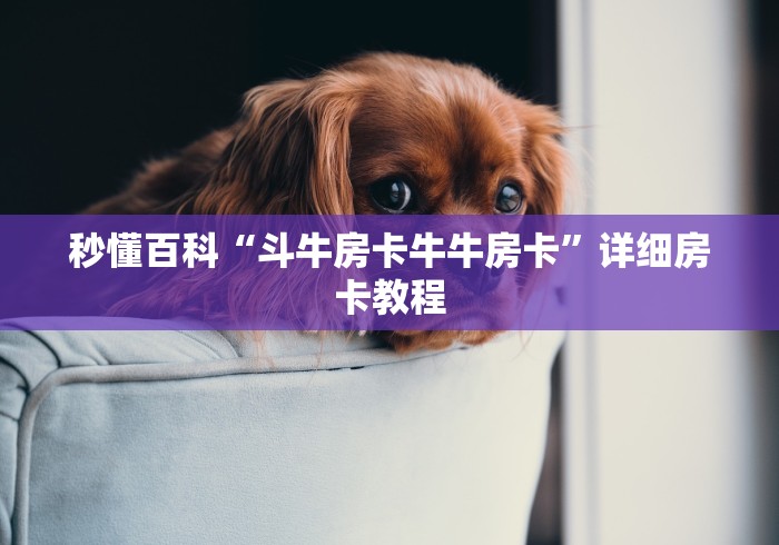 房卡必备教程“微信斗牛牛房卡在哪里买”房卡使用教程 房卡必备教程“微信斗牛牛房卡在哪里买”房卡使用教程