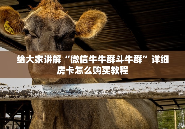 给大家讲解“微信牛牛群斗牛群”详细房卡怎么购买教程
