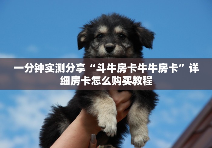一分钟实测分享“斗牛房卡牛牛房卡”详细房卡怎么购买教程