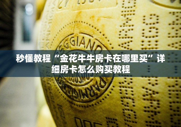 秒懂教程“金花牛牛房卡在哪里买”详细房卡怎么购买教程