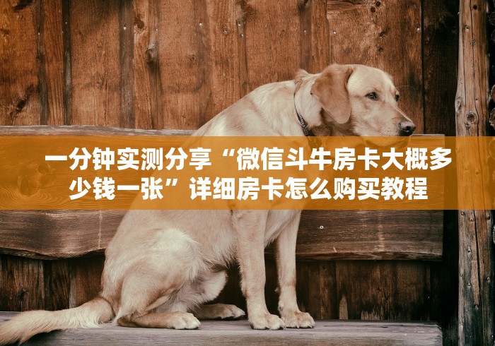 一分钟实测分享“微信斗牛房卡大概多少钱一张”详细房卡怎么购买教程
