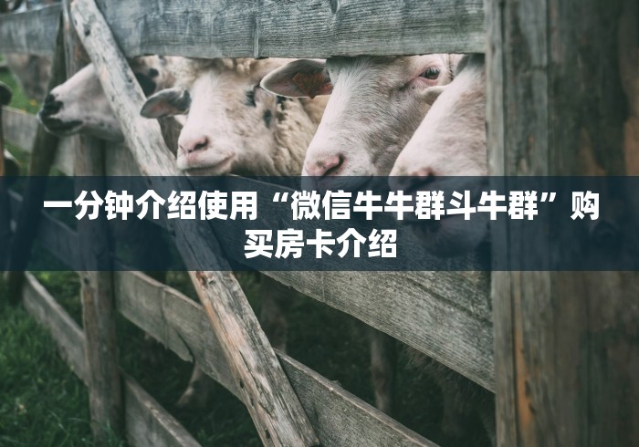 一分钟介绍使用“微信牛牛群斗牛群”购买房卡介绍