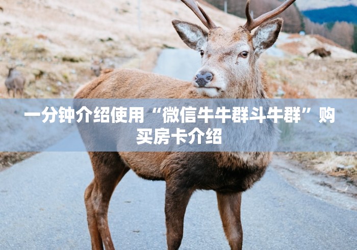 一分钟介绍使用“微信牛牛群斗牛群”购买房卡介绍