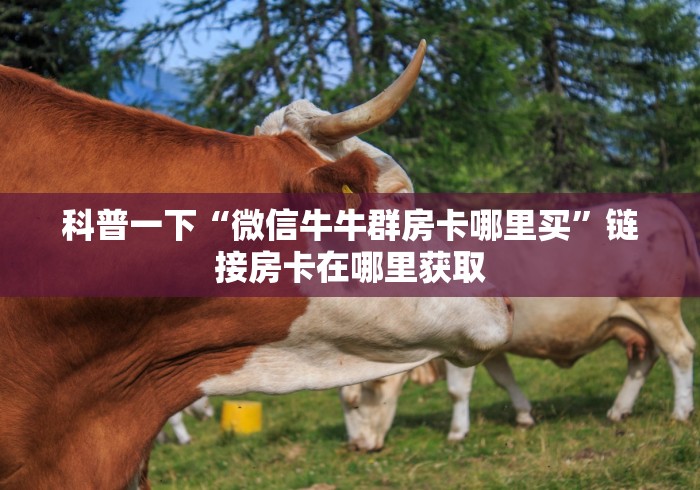 科普一下“微信牛牛群房卡哪里买”链接房卡在哪里获取