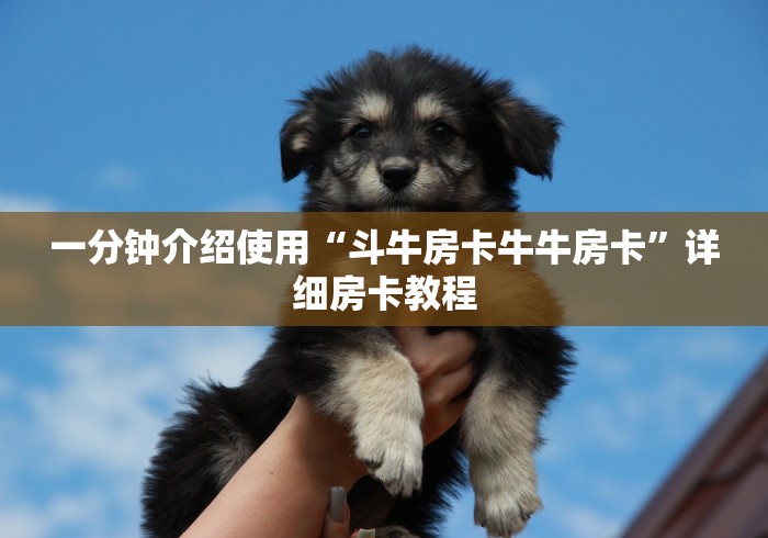 一分钟介绍使用“斗牛房卡牛牛房卡”详细房卡教程