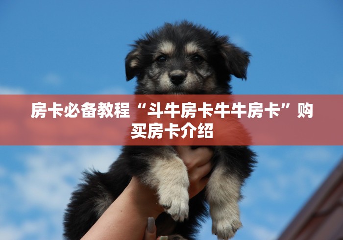 房卡必备教程“斗牛房卡牛牛房卡”购买房卡介绍