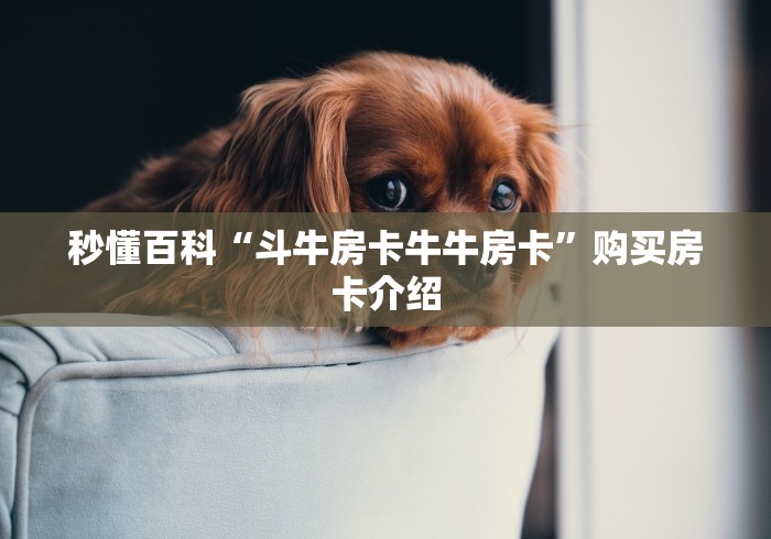 秒懂百科“斗牛房卡牛牛房卡”购买房卡介绍 秒懂百科“斗牛房卡牛牛房卡”购买房卡介绍