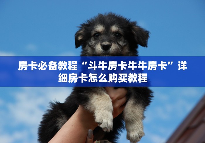 房卡必备教程“斗牛房卡牛牛房卡”详细房卡怎么购买教程