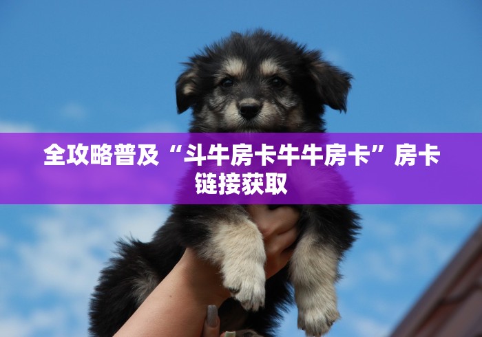 全攻略普及“斗牛房卡牛牛房卡”房卡链接获取
